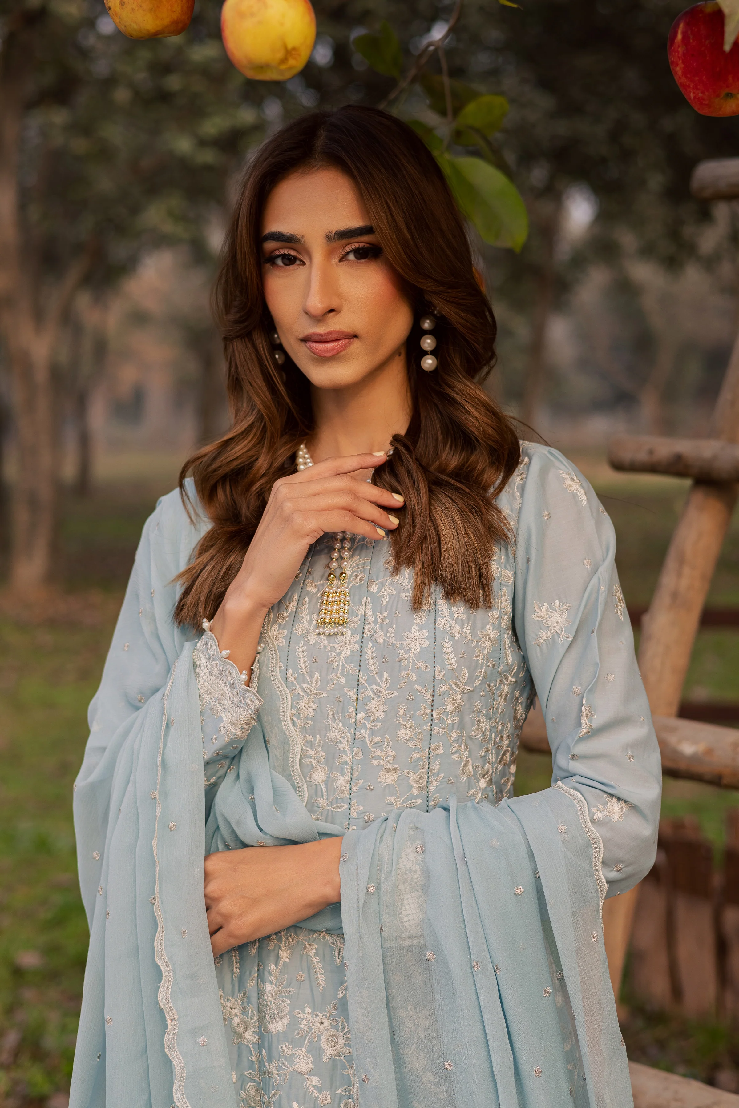 Nur Ray 3Pc - Festive Embroidered Lawn - Image 5